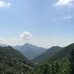 Il Ghiro